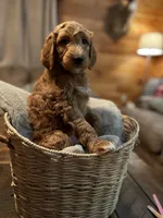 processed/1017e9d7-a646-492a-a2cf-147b470ed8df/listing/5c9af264-bdbd-45a3-83a7-e2bc790334bb/7d3237b4-fcbf-4476-84e0-2acb1d63aebb