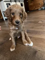 processed/1017e9d7-a646-492a-a2cf-147b470ed8df/listing/5c9af264-bdbd-45a3-83a7-e2bc790334bb/da0a6d67-145b-4f3c-b5c4-959418244d3c