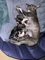 processed/101c3ed9-e6b1-4c49-b80c-9aaf1d555351/facility/fd508be1-b485-4369-b47f-e7752fdf0be1