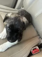 processed/101c3ed9-e6b1-4c49-b80c-9aaf1d555351/listing/11a12b49-aee5-4dd5-a96d-58a31697d971/24d80be7-fe5e-40a1-b20d-8cf71dd6d034