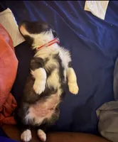 processed/101c3ed9-e6b1-4c49-b80c-9aaf1d555351/listing/11a12b49-aee5-4dd5-a96d-58a31697d971/4f901c23-094c-440e-a1c2-55599c422eff