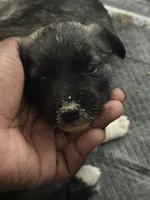 processed/101c3ed9-e6b1-4c49-b80c-9aaf1d555351/listing/11a12b49-aee5-4dd5-a96d-58a31697d971/50f99372-df33-4126-b47c-869fbd0e0aa6