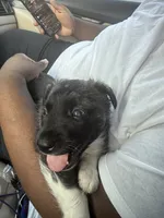 processed/101c3ed9-e6b1-4c49-b80c-9aaf1d555351/listing/11a12b49-aee5-4dd5-a96d-58a31697d971/a964e711-6caa-4b88-ab60-1cf6d1e57b9d