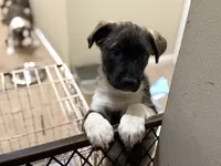 processed/101c3ed9-e6b1-4c49-b80c-9aaf1d555351/listing/11a12b49-aee5-4dd5-a96d-58a31697d971/b13e0b60-dca2-47c1-83d8-a0628ede932f