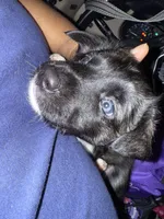 processed/101c3ed9-e6b1-4c49-b80c-9aaf1d555351/listing/11a12b49-aee5-4dd5-a96d-58a31697d971/f017385f-ce84-4383-9da2-563a87f65328