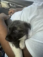 processed/101c3ed9-e6b1-4c49-b80c-9aaf1d555351/listing/11a12b49-aee5-4dd5-a96d-58a31697d971/fed9d42b-d887-456f-a561-93c01d89c343