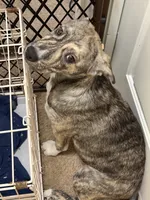 processed/101c3ed9-e6b1-4c49-b80c-9aaf1d555351/listing/47fdb246-6829-4db1-b865-4b88607ed605/125b9aee-6ee1-451a-904c-68cc2423faa0