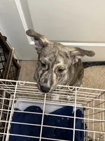 processed/101c3ed9-e6b1-4c49-b80c-9aaf1d555351/listing/47fdb246-6829-4db1-b865-4b88607ed605/947bfe9d-a9f7-4cb0-b07d-94a93f46c0be