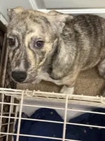 processed/101c3ed9-e6b1-4c49-b80c-9aaf1d555351/listing/47fdb246-6829-4db1-b865-4b88607ed605/a5034582-a150-482c-8a3d-fbcb7cbc3923