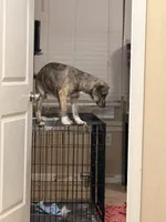 processed/101c3ed9-e6b1-4c49-b80c-9aaf1d555351/listing/47fdb246-6829-4db1-b865-4b88607ed605/f2492db9-f9f8-4f21-a727-183ca35c2c51