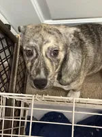 processed/101c3ed9-e6b1-4c49-b80c-9aaf1d555351/listing/47fdb246-6829-4db1-b865-4b88607ed605/ff3c24b9-92c9-4971-a8bb-82db73f71a32