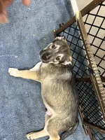 processed/101c3ed9-e6b1-4c49-b80c-9aaf1d555351/listing/cd00ac28-0eb4-406d-b13f-4430adaaf029/520dcea2-9807-4fca-8706-27412ecd560d