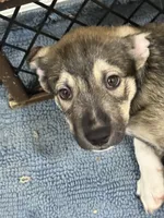 processed/101c3ed9-e6b1-4c49-b80c-9aaf1d555351/listing/cd00ac28-0eb4-406d-b13f-4430adaaf029/c1f238df-ad93-4214-a401-45a0f623c326