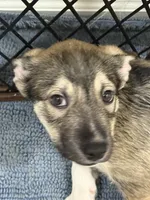 processed/101c3ed9-e6b1-4c49-b80c-9aaf1d555351/listing/cd00ac28-0eb4-406d-b13f-4430adaaf029/f5e64b42-fec7-41b0-9818-482ec5fa30ca