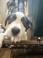 processed/101c3ed9-e6b1-4c49-b80c-9aaf1d555351/listing/d2743202-9533-4c56-8d80-e43217047de2/12c05189-bde1-46ec-95ad-b15efb04d398