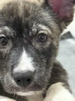 processed/101c3ed9-e6b1-4c49-b80c-9aaf1d555351/listing/d9073926-1d14-4770-ab94-af0b6f9a0667/045648ad-9abe-4ae8-9ba4-06f35330b39e