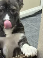 processed/101c3ed9-e6b1-4c49-b80c-9aaf1d555351/listing/d9073926-1d14-4770-ab94-af0b6f9a0667/0efaab42-5d9a-42be-a5ae-3bf9de7c6144