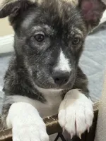 processed/101c3ed9-e6b1-4c49-b80c-9aaf1d555351/listing/d9073926-1d14-4770-ab94-af0b6f9a0667/f5ea310d-f86b-4aa7-b37b-30538a07be00