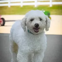 processed/1024df31-07e7-42b6-9819-3214c7cd73c0/facility/298fb0c0-4625-4fa9-8af3-ede421d97def