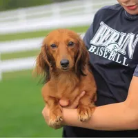 processed/1024df31-07e7-42b6-9819-3214c7cd73c0/facility/36bfdc06-83fc-4ed2-817d-42be4c9ffafa