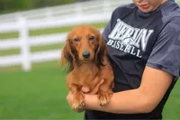 processed/1024df31-07e7-42b6-9819-3214c7cd73c0/facility/36bfdc06-83fc-4ed2-817d-42be4c9ffafa