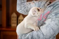 processed/1024df31-07e7-42b6-9819-3214c7cd73c0/listing/15782d84-763a-48b3-8b16-50ab1ff08d3a/23ed72f1-214b-46f6-9b6e-08e815bf8c39