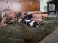 Snoopy, a male Basset Hound for sale in Dundee, OH – 4 of 7