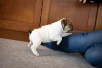 processed/1024df31-07e7-42b6-9819-3214c7cd73c0/listing/61ff1028-876c-420a-bcb8-6f0b49a243d2/15ffa67e-fd49-441d-a2b4-cafd95011c15