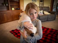 Harley, a female English Bulldog for sale in Dundee, OH – Photo 7 of 9