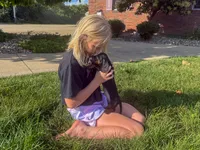Gus, a male Miniature Dachshund for sale in Dundee, OH – 5 of 7