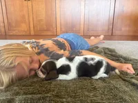 Snoopy, a male Basset Hound for sale in Dundee, OH – 6 of 7