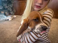 processed/1024df31-07e7-42b6-9819-3214c7cd73c0/listing/ebe0ebb6-9ec7-4048-bd61-412d3d7314e7/307c9c4b-6a41-4b70-b4f8-6eccef6f06bc