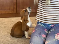 processed/1024df31-07e7-42b6-9819-3214c7cd73c0/listing/ebe0ebb6-9ec7-4048-bd61-412d3d7314e7/8a3ad8c0-a76a-4be0-8aea-c10f8f66c0a9