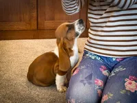 processed/1024df31-07e7-42b6-9819-3214c7cd73c0/listing/ebe0ebb6-9ec7-4048-bd61-412d3d7314e7/cb4cc09e-94da-4613-87e4-d8e5ed520ee4