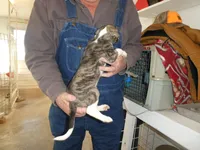 processed/10278e33-3c22-4648-8122-dc9c3dc5e8da/listing/12d394a2-6a2d-4bc8-8f06-a1de0cde4c0e/0112980a-0020-4c04-9eb3-85b347e1551f