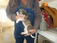 processed/10278e33-3c22-4648-8122-dc9c3dc5e8da/listing/12d394a2-6a2d-4bc8-8f06-a1de0cde4c0e/152dda26-b06e-40a0-80c5-947f4bac72a5