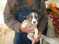 processed/10278e33-3c22-4648-8122-dc9c3dc5e8da/listing/12d394a2-6a2d-4bc8-8f06-a1de0cde4c0e/a05089c1-6cc9-4d98-ac68-ff179d60ea82