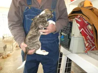 processed/10278e33-3c22-4648-8122-dc9c3dc5e8da/listing/12d394a2-6a2d-4bc8-8f06-a1de0cde4c0e/ceda6665-8054-4a77-a7ac-153751eb93a1