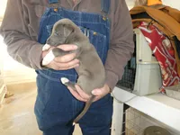 processed/10278e33-3c22-4648-8122-dc9c3dc5e8da/listing/379284a6-54f6-429c-82ff-e45796ed7b5b/8aed87d9-8659-431f-83e2-5c484db500a9