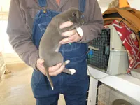 processed/10278e33-3c22-4648-8122-dc9c3dc5e8da/listing/379284a6-54f6-429c-82ff-e45796ed7b5b/8fc5ff1b-1994-44ed-b154-38e329fb3546