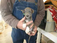 processed/10278e33-3c22-4648-8122-dc9c3dc5e8da/listing/379284a6-54f6-429c-82ff-e45796ed7b5b/c3008a59-0235-41ce-99dc-863a117e9c73