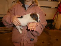 processed/10278e33-3c22-4648-8122-dc9c3dc5e8da/listing/7536d732-24f9-4a2f-83fd-a651dc2faba5/4cd04e4c-932a-455f-8b28-4bbf1121f9f8