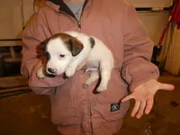 processed/10278e33-3c22-4648-8122-dc9c3dc5e8da/listing/7536d732-24f9-4a2f-83fd-a651dc2faba5/bd75fd84-d378-4a88-9c15-145d110d301e