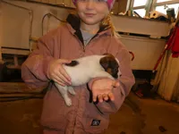 processed/10278e33-3c22-4648-8122-dc9c3dc5e8da/listing/7536d732-24f9-4a2f-83fd-a651dc2faba5/d7e56127-27db-4bd8-b230-2c7b24b73e41