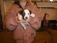 processed/10278e33-3c22-4648-8122-dc9c3dc5e8da/listing/7536d732-24f9-4a2f-83fd-a651dc2faba5/dc4b9bb5-08d1-4cf0-8f17-a109e7e30a41