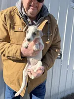 processed/10278e33-3c22-4648-8122-dc9c3dc5e8da/listing/7b51f0d7-fc03-4047-8540-b15cd168add1/1cc615fe-58f9-4fa6-beae-84d03f52374d