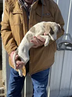 processed/10278e33-3c22-4648-8122-dc9c3dc5e8da/listing/7b51f0d7-fc03-4047-8540-b15cd168add1/396d9f22-9c6f-4c10-98bf-5af92bd8bf45