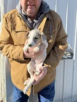 processed/10278e33-3c22-4648-8122-dc9c3dc5e8da/listing/7b51f0d7-fc03-4047-8540-b15cd168add1/609a9479-1cdf-47a5-ab40-99a2e0f73c2f