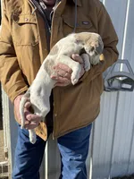 processed/10278e33-3c22-4648-8122-dc9c3dc5e8da/listing/7b51f0d7-fc03-4047-8540-b15cd168add1/a3289873-5866-4425-98e6-cab13e9533eb