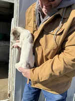 processed/10278e33-3c22-4648-8122-dc9c3dc5e8da/listing/7b51f0d7-fc03-4047-8540-b15cd168add1/f860f5ca-4e08-4b0f-8bc2-d7cdeeeaf42e